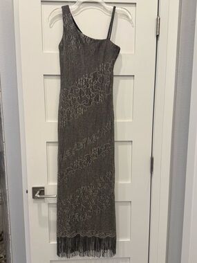 Arianna by Rachel Kaye Size 4 Embroidered Fringe Dress in Charcoal Shimmer Gray
